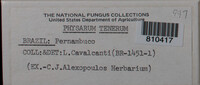 Image Associated With the Occurence